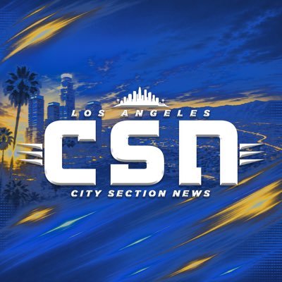 City Section News's profile picture