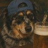 Profilbild von smartass_ado