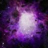 Profilbild von トランスブリ虫・˙˚.