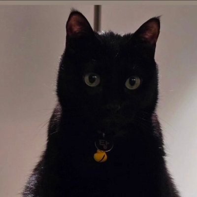 ItisStarDust's profile picture