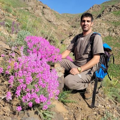 Dr. Sajad Alipour's profile picture
