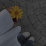مرام .'s profile picture