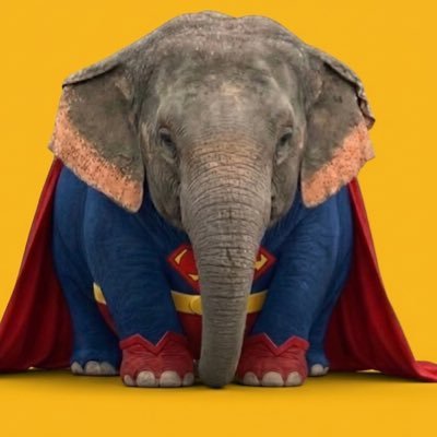 سين 🇸🇪's profile picture