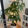 Фото профиля Stockpiler