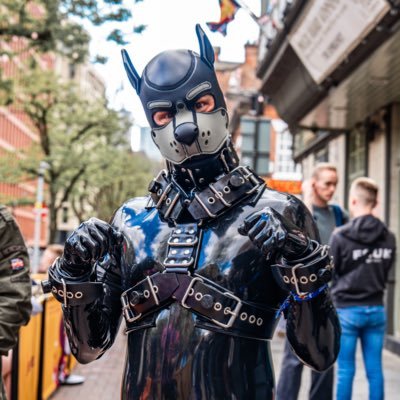 Pupnathan24's profile picture