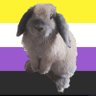 Profilbild von Eevee the bunny 🏳️‍🌈