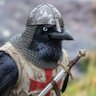 Фото профиля Crusader Raven | グリフ
