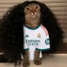 التورنيدو 29 💙 profil fotoğrafı