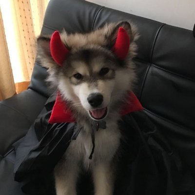 mari's profile picture