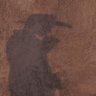 Profilbild von Stranger