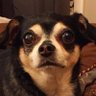 Numismaniac's profile picture