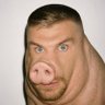 Profilbild von ED Nitty