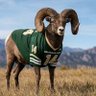 Фото профиля Rocky Mountain Ram Nation