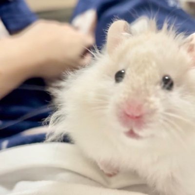 lolazxghnhxhs's profile picture