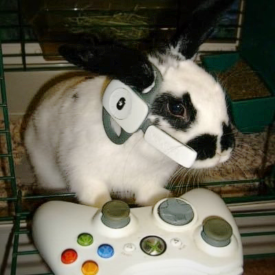 OrbitoclastXD's profile picture