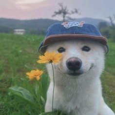Tarpz7's profile picture