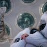 Specter profil fotoğrafı