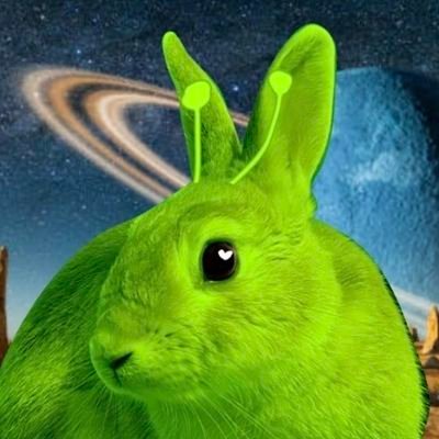 Stinkybunny's profile picture