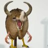 Bucks in the Woods's profile picture