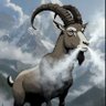 Profilbild von BillyTheMountain