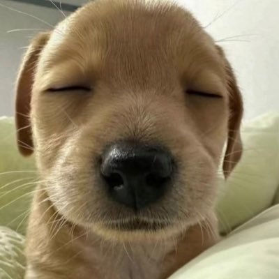 거니's profile picture