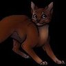 robinpaw's profile picture