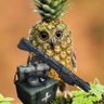 Profilbild von Pine0wlple