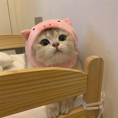kun_knthph's profile picture