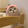ด๊อบบี้มัมหมีหนูไอย✨'s profile picture