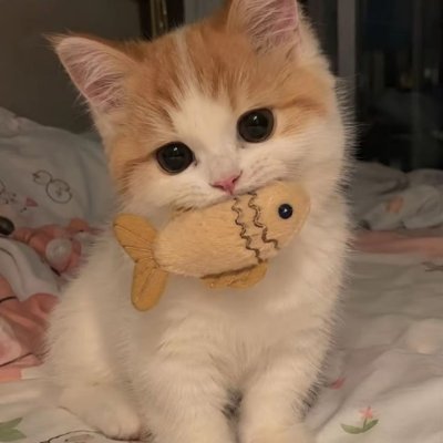 ceneto7v's profile picture