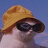 Profilbild von like OMG bruh