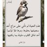 قلعة هجارة هجارة's profile picture