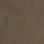 Tacho's profile picture