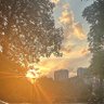 托尼盖 profil fotoğrafı