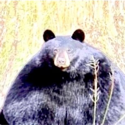 W5foaSp59338980's profile picture