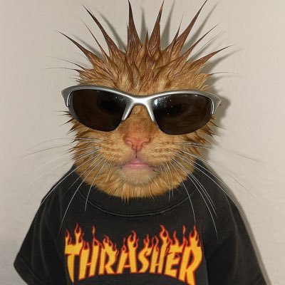 poalns1's profile picture