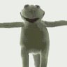 Фото профиля The Flying Kermit