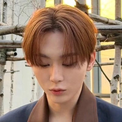 song4sol's profile picture