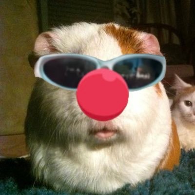 uooynz's profile picture