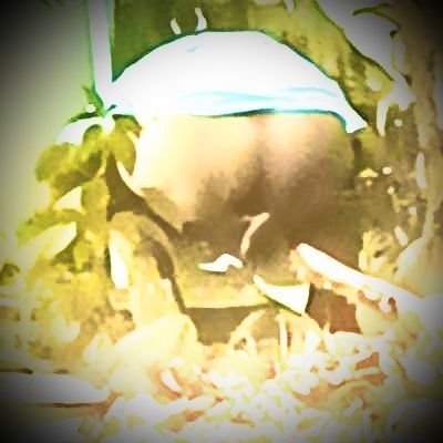 Sister Porn💦🌱's profile picture