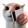 Profilbild von fastergo