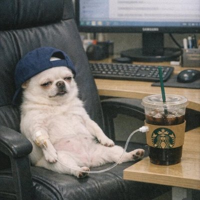puro_ocio_latim's profile picture