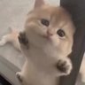 Profilbild von NOVA LM