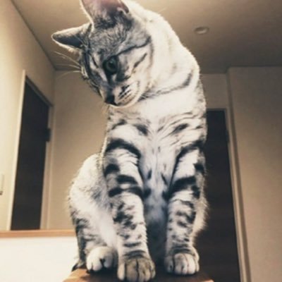 araru1213's profile picture