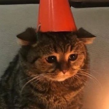 satelliteOvO's profile picture