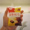 こたろうのゴールデン日常's profile picture