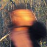 lowercase g's profile picture