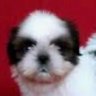 iiiii456's profile picture