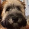 Jiffani profil fotoğrafı