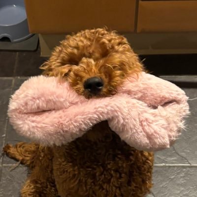 Dermo's profile picture
